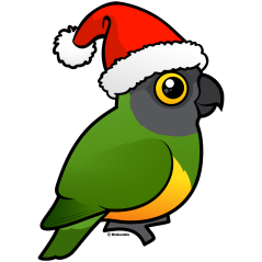Senegal Santa