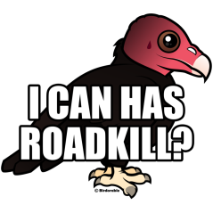 I Can Has Roadkill?