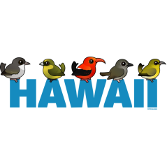 Birdorable Hawaii