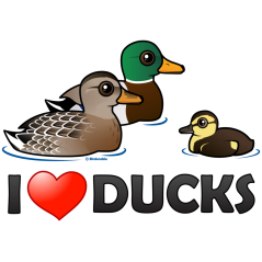I Love Ducks