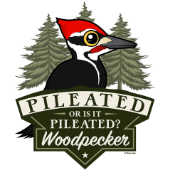 Or Is It Pileated?