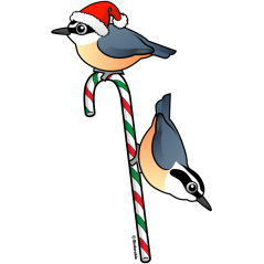 Nuthatch Santa