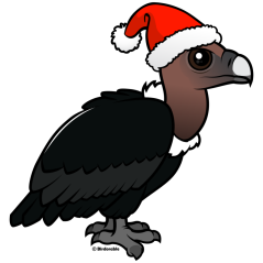 White-rumped Vulture Santa