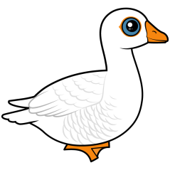 Embden Goose