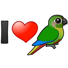 I Love Maroon-bellied Conures