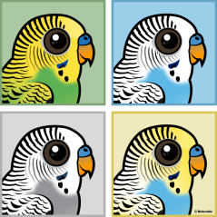Four Color Budiges