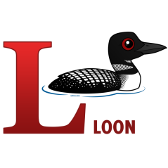 L is for Loon