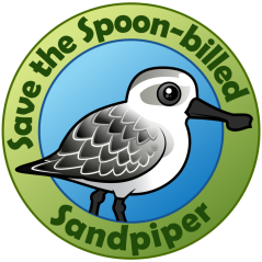 Save the Spoon-billed Sandpiper
