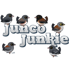Junco Junkie