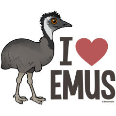 I Love Emus