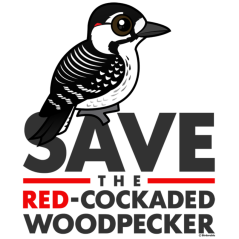 Save the Red-cockaded Woodpecker