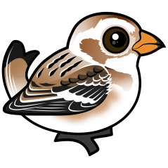 Snow Bunting