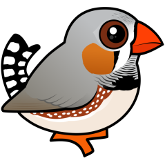 Cute Zebra Finch