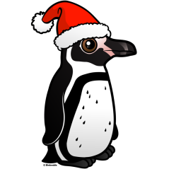 Humboldt Penguin Santa