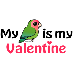 My Lovebird is My Valentine