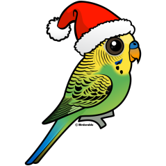 Budgie as Santa