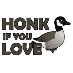 Honk If You Love Geese
