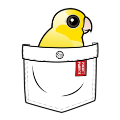 Yellow Pocket Parrot