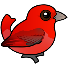 Summer Tanager