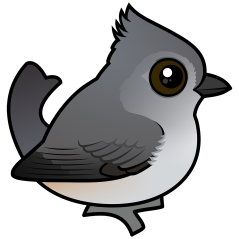 Oak Titmouse