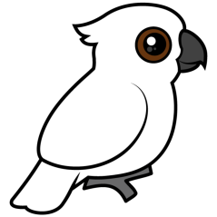 Umbrella Cockatoo (flat)