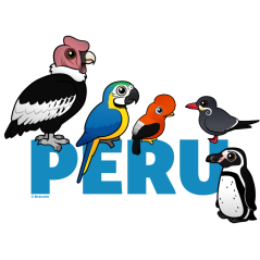 Birdorable Peru