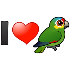 I Love Red-lored Amazons