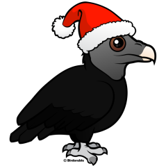 Christmas Black Vulture Santa
