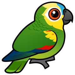 Birdorable-Blue-fronted Parrot