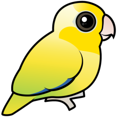 Cute Yellow Pacific Parrotlet
