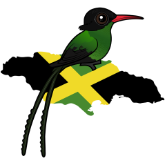 Jamaican Red-billed Streamertail