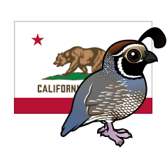 State Birdorable of California: California Quail