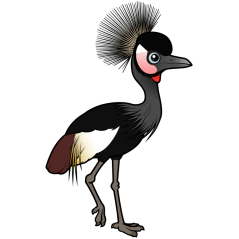 Black Crowned-Crane