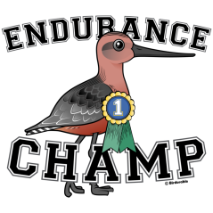 Endurance Champ