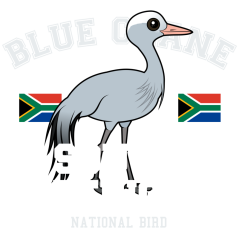 Blue Crane of South Africa