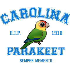 Team Parakeet