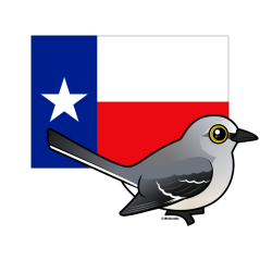 State Birdorable of Texas: Northern Mockingbird