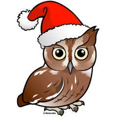 Eastern Screech Owl Santa