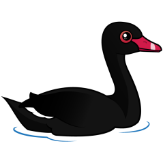 Black Swan