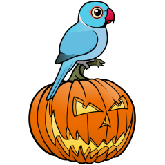 Blue Indian Ringneck Halloween