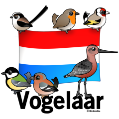 Dutch Birder: Vogelaar