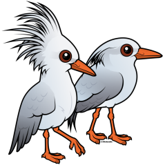 Kagu Pair