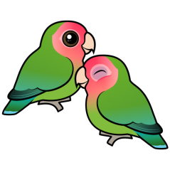 Peach-faced Lovebird Adorable Pair