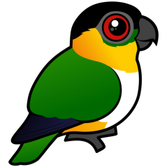Birdorable Black-headed Parrot