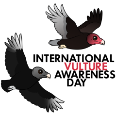International Vulture Awareness Day