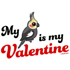 My Cockatiel Is My Valentine