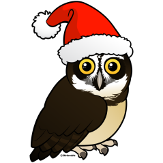 Santa Spectacled Owl