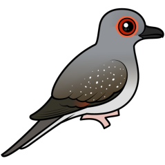 Diamond Dove