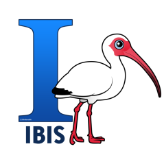 I is for Ibis