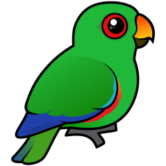 Customizable Male Eclectus Parrot